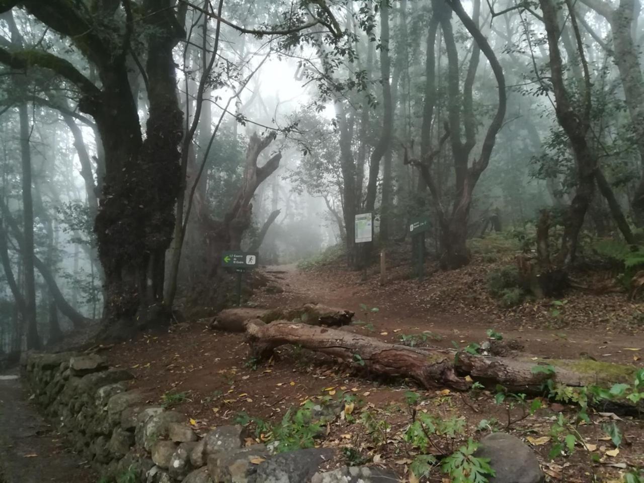 Casa Rural Finca La Maleza Агуло Экстерьер фото
